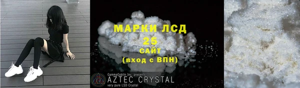 ПСИЛОЦИБИНОВЫЕ ГРИБЫ Алзамай
