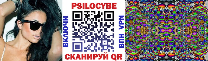 что такое   Людиново  Псилоцибиновые грибы Cubensis 