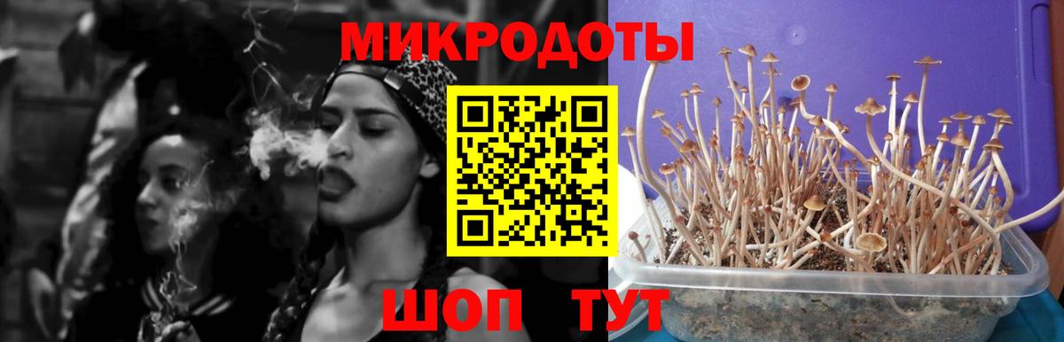 Галлюциногенные грибы ЛСД Людиново